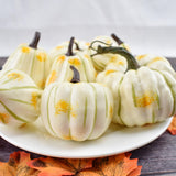 Maxbell 8Pcs Artificial Pumpkin Decoration for Thanksgiving Farmhouse Decoration