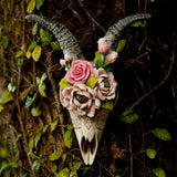 Maxbell 3D Longhorn Sheep Head Skull Sculpture Decor Ornament Animal Wall Hanging