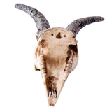 Maxbell 3D Longhorn Sheep Head Skull Sculpture Decor Ornament Animal Wall Hanging