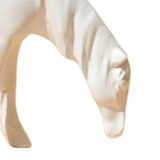 Maxbell 3Pcs Resin Small Horse Miniatures Figurines Micro Animal Statues for Desktop White