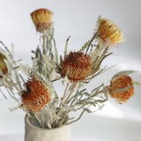 Maxbell Boho Dried Flower Cake Topper DIY Bouquet Prop for Home Wedding Outdoor