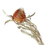 Maxbell Boho Dried Flower Cake Topper DIY Bouquet Prop for Home Wedding Outdoor