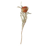 Maxbell Boho Dried Flower Cake Topper DIY Bouquet Prop for Home Wedding Outdoor