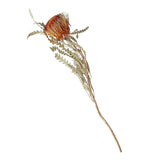 Maxbell Boho Dried Flower Cake Topper DIY Bouquet Prop for Home Wedding Outdoor