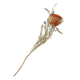 Maxbell Boho Dried Flower Cake Topper DIY Bouquet Prop for Home Wedding Outdoor