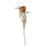 Maxbell Boho Dried Flower Cake Topper DIY Bouquet Prop for Home Wedding Outdoor