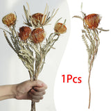 Maxbell Boho Dried Flower Cake Topper DIY Bouquet Prop for Home Wedding Outdoor