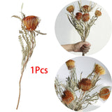 Maxbell Boho Dried Flower Cake Topper DIY Bouquet Prop for Home Wedding Outdoor