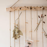 Maxbell Photo Holder Display Picture Organizer Hanging Decoration Living Room S 50cmx100cm