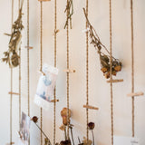 Maxbell Photo Holder Display Picture Organizer Hanging Decoration Living Room S 50cmx100cm