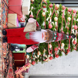 Maxbell Santa Claus Decoration Santa Claus Doll for Gift Tabletop Indoor StyleE
