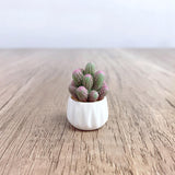 Maxbell Cactus Small Pot Interior Decorations Car Dashboard Figurine for Table