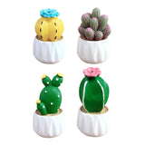 Maxbell Cactus Small Pot Interior Decorations Car Dashboard Figurine for Table