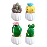 Maxbell Cactus Small Pot Interior Decorations Car Dashboard Figurine for Table