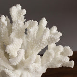 Maxbell Artificial Coral Sculpture Resin Figurine Crafts for Bedroom Office Decor 12.5cmx23cmx12cm