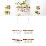 Maxbell Maxbell Wall Hanging Planter Terrarium Wooden Frame Stand for Office Home Decor A