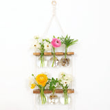 Maxbell Maxbell Wall Hanging Planter Terrarium Wooden Frame Stand for Office Home Decor A