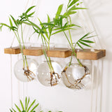 Maxbell Maxbell Wall Hanging Planter Terrarium Wooden Frame Stand for Office Home Decor A