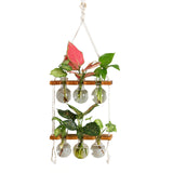 Maxbell Maxbell Wall Hanging Planter Terrarium Wooden Frame Stand for Office Home Decor A