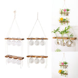 Maxbell Maxbell Wall Hanging Planter Terrarium Wooden Frame Stand for Office Home Decor A