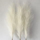 Maxbell 3 Pieces Artificial Tall Pampas Grass Flowers Arrangements Floor Vase Filler White