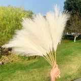 Maxbell 3 Pieces Artificial Tall Pampas Grass Flowers Arrangements Floor Vase Filler Pink