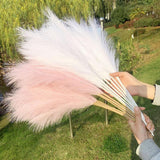 Maxbell 3 Pieces Artificial Tall Pampas Grass Flowers Arrangements Floor Vase Filler Pink