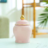 Maxbell Maxbell Kitchen Canisters Container Ceramic Food Storage Jar for Coffee Beans Spice Pink