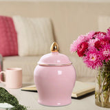 Maxbell Maxbell Kitchen Canisters Container Ceramic Food Storage Jar for Coffee Beans Spice Pink