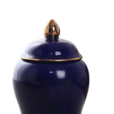 Maxbell Maxbell Kitchen Canisters Container Ceramic Food Storage Jar for Coffee Beans Spice Navy