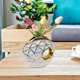 Maxbell Circular Ceramic Vase Centerpiece Ornaments Planter Home Decor Hollow Modern 19cmx23cm