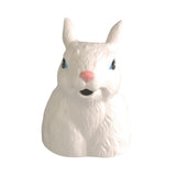 Maxbell Ceramics Watering Can Nordic Kettle Jar Easter Gardening Indoor Outdoor