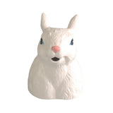 Maxbell Ceramics Watering Can Nordic Kettle Jar Easter Gardening Indoor Outdoor