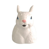 Maxbell Ceramics Watering Can Nordic Kettle Jar Easter Gardening Indoor Outdoor