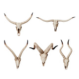 Maxbell Resin Long Horned RAM Decor Skull Wall Mount Skull Decor for Home Office A 77.5x32x12cm