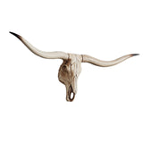 Maxbell Resin Long Horned RAM Decor Skull Wall Mount Skull Decor for Home Office A 77.5x32x12cm