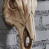 Maxbell Resin Long Horned RAM Decor Skull Wall Mount Skull Decor for Home Office C 56.5x21.5x13cm