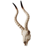 Maxbell Resin Long Horned RAM Decor Skull Wall Mount Skull Decor for Home Office C 56.5x21.5x13cm