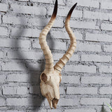 Maxbell Resin Long Horned RAM Decor Skull Wall Mount Skull Decor for Home Office C 56.5x21.5x13cm