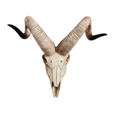 Maxbell Resin Long Horned RAM Decor Skull Wall Mount Skull Decor for Home Office D 42x34x16cm