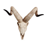 Maxbell Resin Long Horned RAM Decor Skull Wall Mount Skull Decor for Home Office D 42x34x16cm