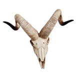 Maxbell Resin Long Horned RAM Decor Skull Wall Mount Skull Decor for Home Office D 42x34x16cm
