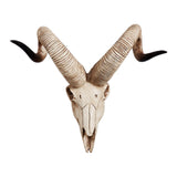 Maxbell Resin Long Horned RAM Decor Skull Wall Mount Skull Decor for Home Office D 42x34x16cm