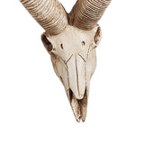 Maxbell Resin Long Horned RAM Decor Skull Wall Mount Skull Decor for Home Office D 42x34x16cm