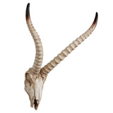 Maxbell Resin Long Horned RAM Decor Skull Wall Mount Skull Decor for Home Office E 48x35x22.5cm