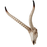 Maxbell Resin Long Horned RAM Decor Skull Wall Mount Skull Decor for Home Office E 48x35x22.5cm