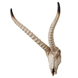 Maxbell Resin Long Horned RAM Decor Skull Wall Mount Skull Decor for Home Office E 48x35x22.5cm
