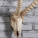 Maxbell Resin Long Horned RAM Decor Skull Wall Mount Skull Decor for Home Office E 48x35x22.5cm