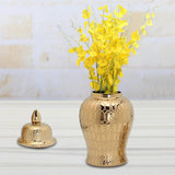 Maxbell Jar Vase Versatile Collectable Porcelain Gold for Gift Kitchen Display