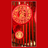 Maxbell Decorative Spring Festival Light New Year Party Indoor StyleD